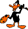 kacer.gif (15236 bytes)